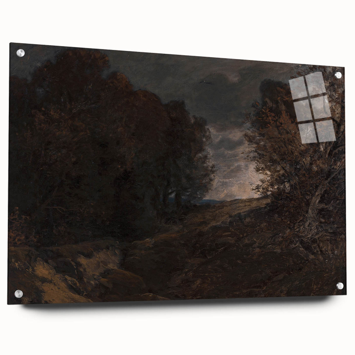 Moody Art Prints - Dark Forest Landscape for Atmospheric Wall Decor