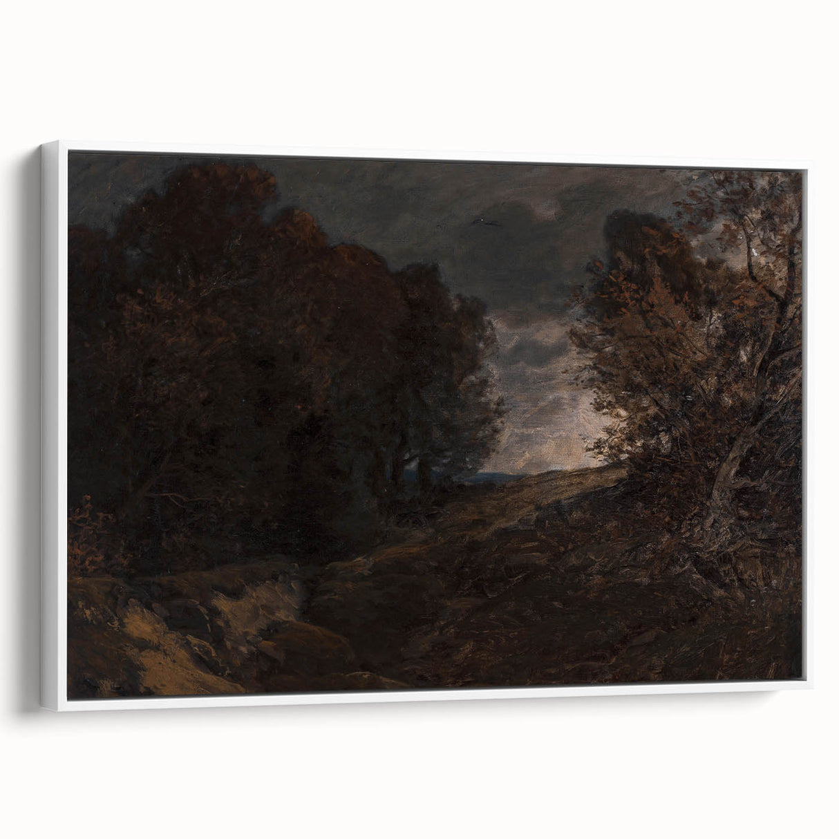 Moody Art Prints - Dark Forest Landscape for Atmospheric Wall Decor
