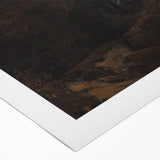 Moody Art Prints - Dark Forest Landscape for Atmospheric Wall Decor