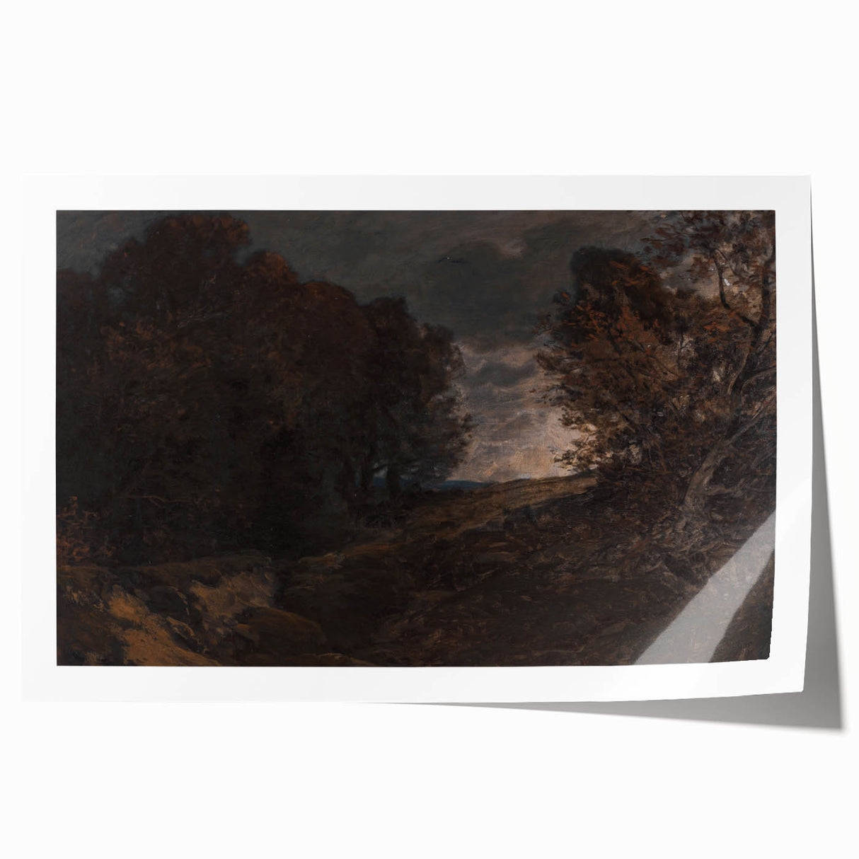 Moody Art Prints - Dark Forest Landscape for Atmospheric Wall Decor