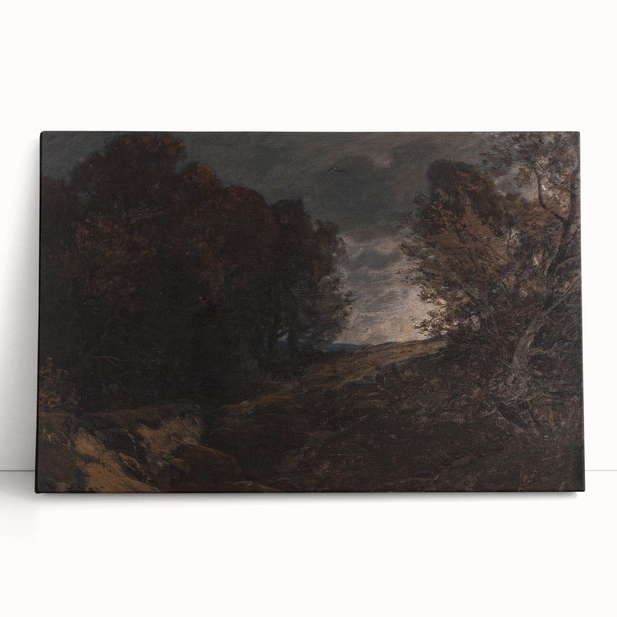 Moody Art Prints - Dark Forest Landscape for Atmospheric Wall Decor
