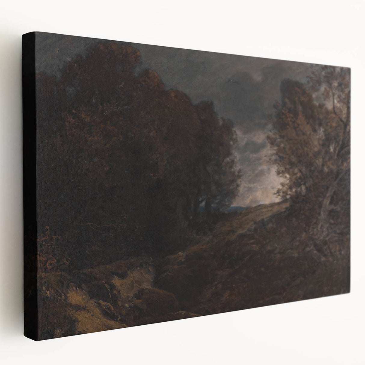 Moody Art Prints - Dark Forest Landscape for Atmospheric Wall Decor