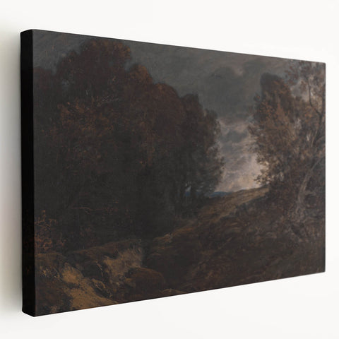 Moody Art Prints - Dark Forest Landscape for Atmospheric Wall Decor