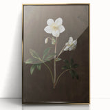 Dark Moody Botanical Art: White Flower Illustration for Interior Decor