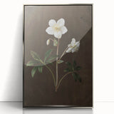 Dark Moody Botanical Art: White Flower Illustration for Interior Decor