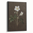 Dark Moody Botanical Art: White Flower Illustration for Interior Decor