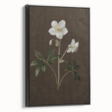 Dark Moody Botanical Art: White Flower Illustration for Interior Decor