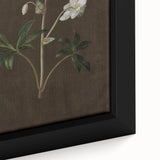 Dark Moody Botanical Art: White Flower Illustration for Interior Decor