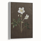 Dark Moody Botanical Art: White Flower Illustration for Interior Decor