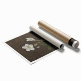 Dark Moody Botanical Art: White Flower Illustration for Interior Decor