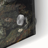 Dark Art Decor - Atmospheric Nature Scene with Mysterious Shadows