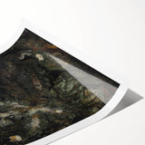 Dark Art Decor - Atmospheric Nature Scene with Mysterious Shadows