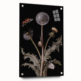 Dark Moody Wall Art - Botanical Elegance with Butterflies and Snails
