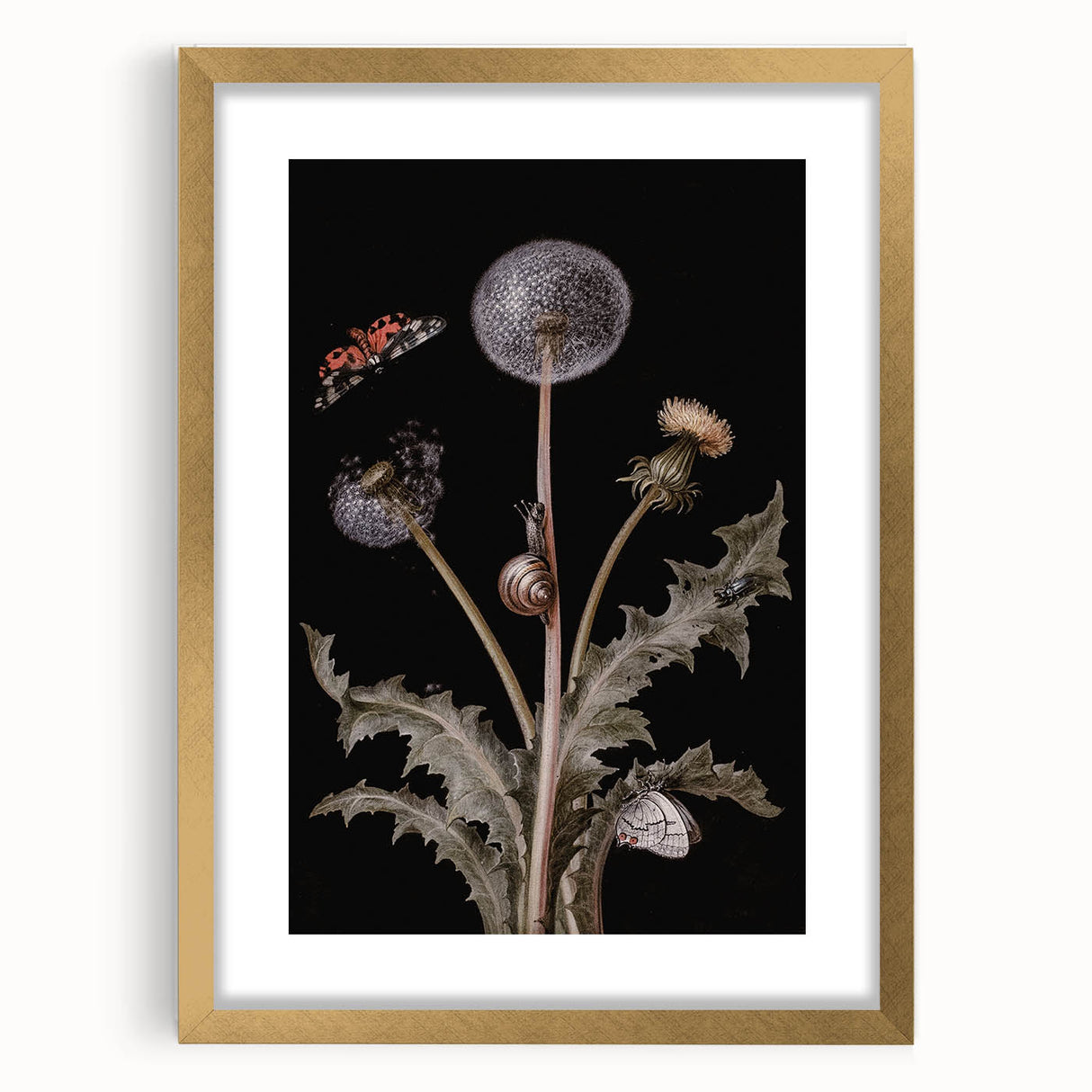 Dark Moody Wall Art - Botanical Elegance with Butterflies and Snails