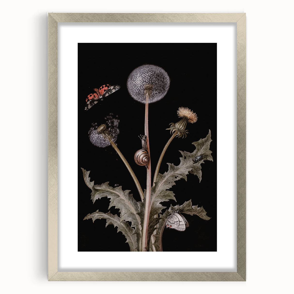 Dark Moody Wall Art - Botanical Elegance with Butterflies and Snails
