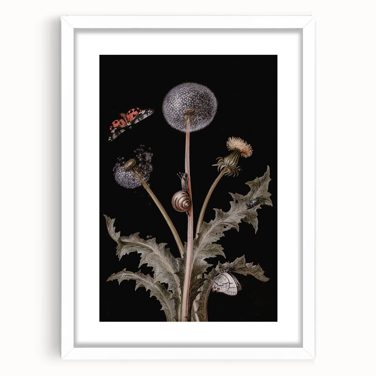 Dark Moody Wall Art - Botanical Elegance with Butterflies and Snails
