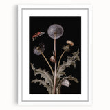 Dark Moody Wall Art - Botanical Elegance with Butterflies and Snails