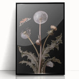 Dark Moody Wall Art - Botanical Elegance with Butterflies and Snails