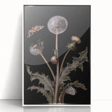 Dark Moody Wall Art - Botanical Elegance with Butterflies and Snails