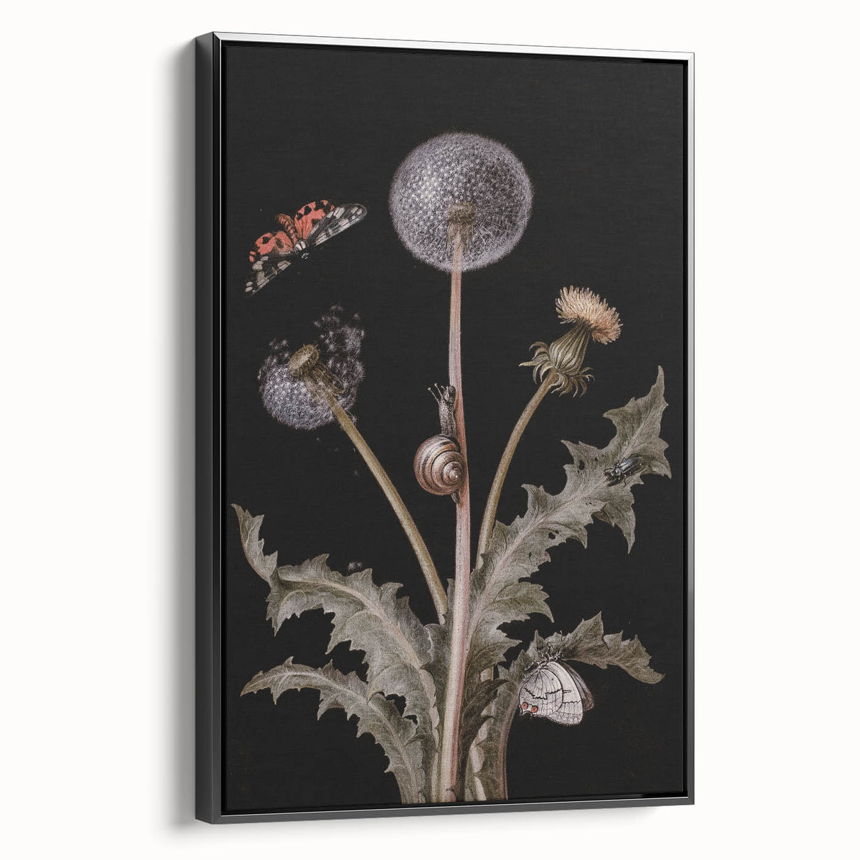 Dark Moody Wall Art - Botanical Elegance with Butterflies and Snails