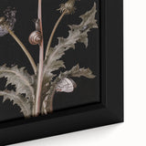 Dark Moody Wall Art - Botanical Elegance with Butterflies and Snails