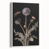 Dark Moody Wall Art - Botanical Elegance with Butterflies and Snails