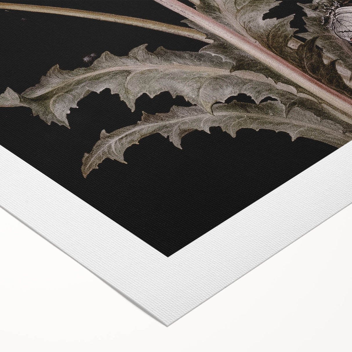 Dark Moody Wall Art - Botanical Elegance with Butterflies and Snails