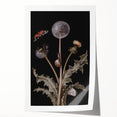 Dark Moody Wall Art - Botanical Elegance with Butterflies and Snails
