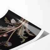 Dark Moody Wall Art - Botanical Elegance with Butterflies and Snails
