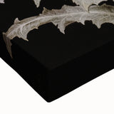 Dark Moody Wall Art - Botanical Elegance with Butterflies and Snails