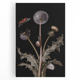 Dark Moody Wall Art - Botanical Elegance with Butterflies and Snails
