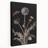 Dark Moody Wall Art - Botanical Elegance with Butterflies and Snails