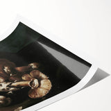 Dark Moody Wall Art - Dramatic Mushroom Still Life with Shadows