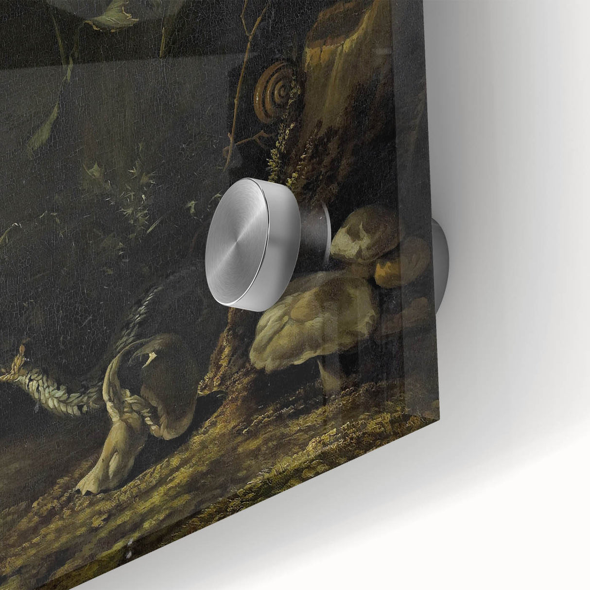 Dark Moody Wall Art Dramatic Woodland Scene with Wildlife