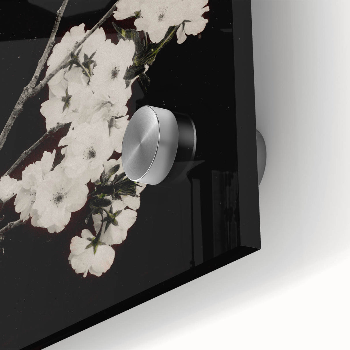 Dark Moody Wall Art - Elegant White Blossoms on Black Background
