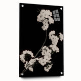 Dark Moody Wall Art - Elegant White Blossoms on Black Background