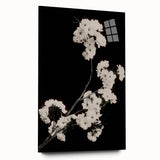 Dark Moody Wall Art - Elegant White Blossoms on Black Background