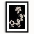 Dark Moody Wall Art - Elegant White Blossoms on Black Background