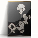 Dark Moody Wall Art - Elegant White Blossoms on Black Background