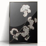 Dark Moody Wall Art - Elegant White Blossoms on Black Background