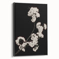 Dark Moody Wall Art - Elegant White Blossoms on Black Background
