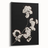 Dark Moody Wall Art - Elegant White Blossoms on Black Background