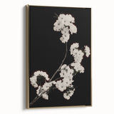 Dark Moody Wall Art - Elegant White Blossoms on Black Background