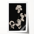 Dark Moody Wall Art - Elegant White Blossoms on Black Background