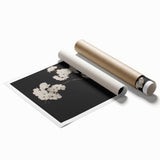 Dark Moody Wall Art - Elegant White Blossoms on Black Background