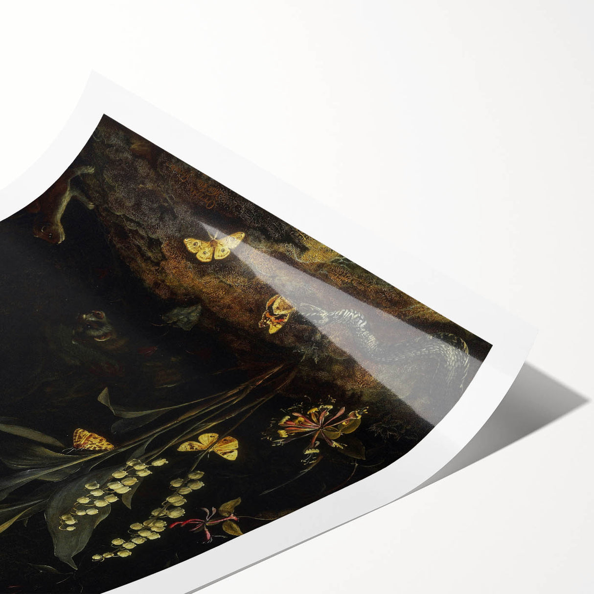 Dark Moody Wall Art - Forest Scene with Butterflies and Woodland Creatures