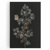 Dark Moody Wall Art - Intricate Botanical with Insects for Elegant Decor