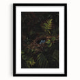 Dark Moody Wall Art - Nest with Blue Eggs for Natural Interior Decor