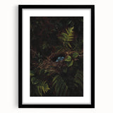 Dark Moody Wall Art - Nest with Blue Eggs for Natural Interior Decor