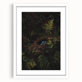 Dark Moody Wall Art - Nest with Blue Eggs for Natural Interior Decor